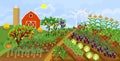 Harvest time. Agricultural landscape. Traditional cartoon farm with many agricultural plants, red barn, silo and wind turbine